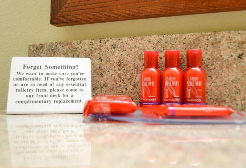 חדר סטנדרט, מיטת קינג, מותאם לאדם עם מוגבלויות, Surestay Hotel By Best Western Bowling Green North