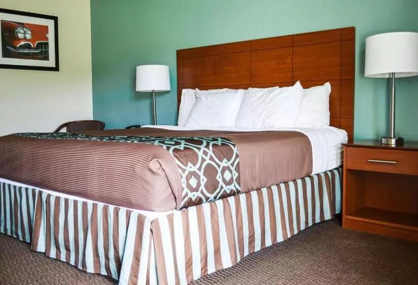 身障者適用キングサイズベッドルーム, Surestay Hotel By Best Western Bowling Green North