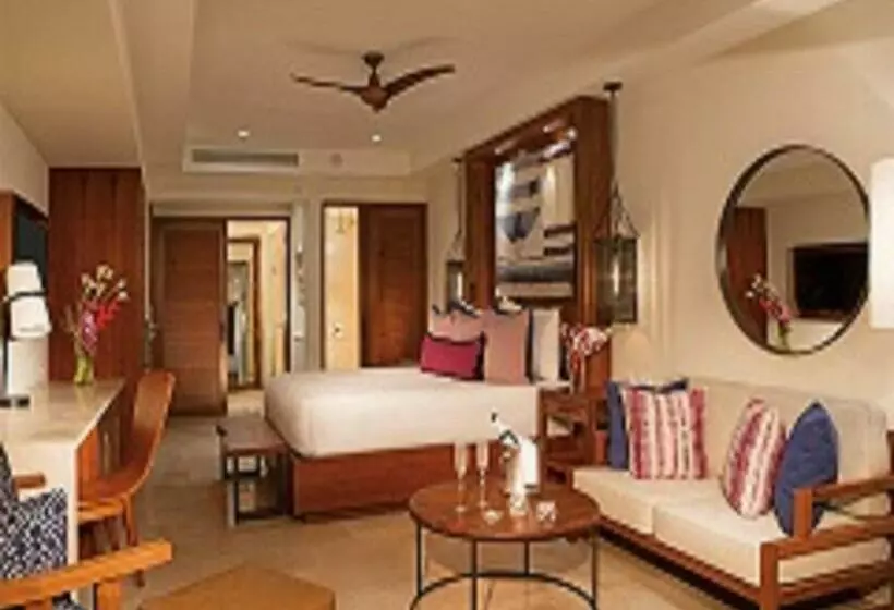 سوئیت جونیور با تخت بزرگ, Secrets Cap Cana Resort & Spa - Adults Only - All Inclusive