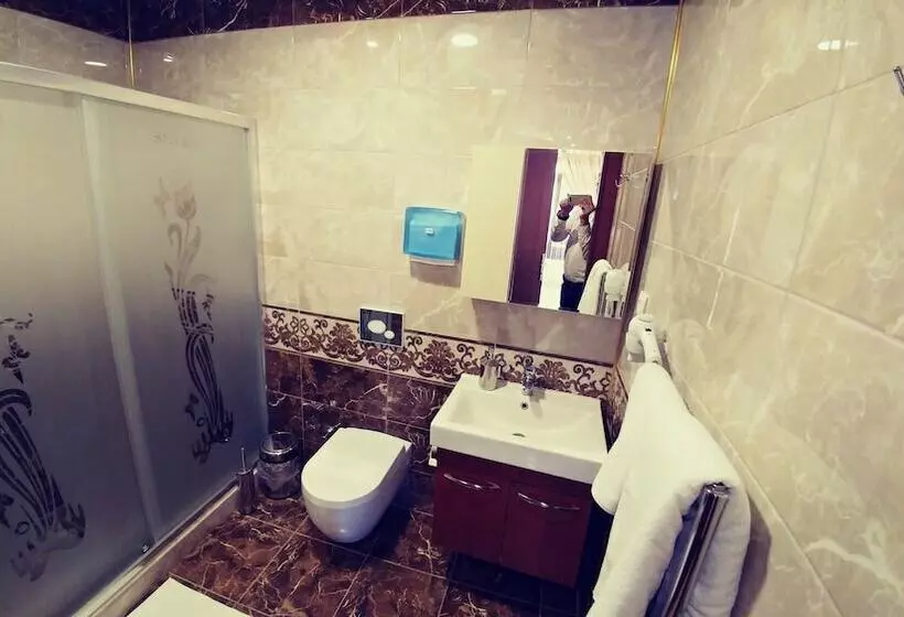 スタンダードシングルルーム, Seybils Otel