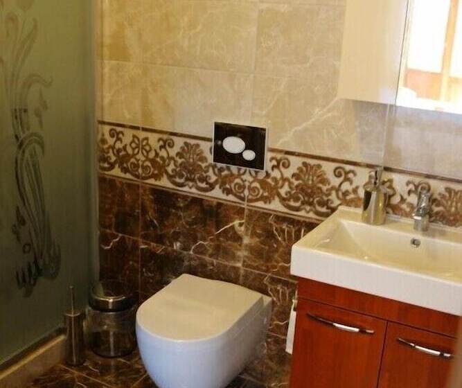 Номер Стандарт Индивидуальный, Seybils Otel