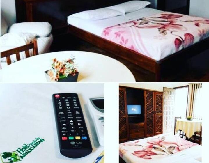 غرفة ديلوكس مزودة بشرفة, Pousada Das Araucarias