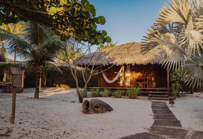 Бунгало Стандарт, Ventana