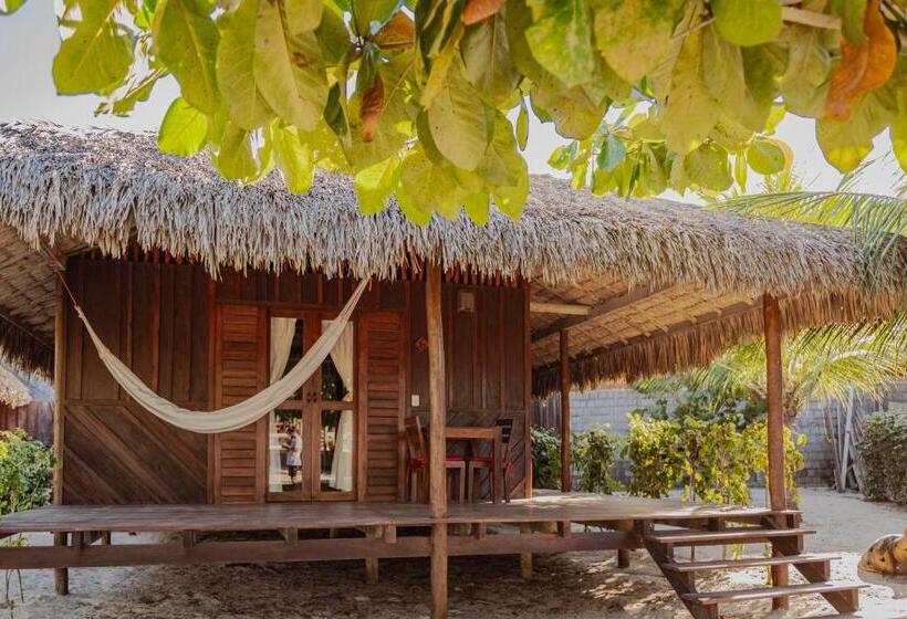 Бунгало Стандарт, Ventana