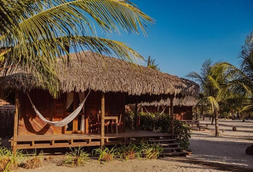 Бунгало Стандарт, Ventana