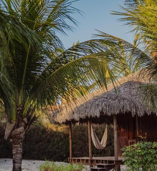 Бунгало Стандарт, Ventana