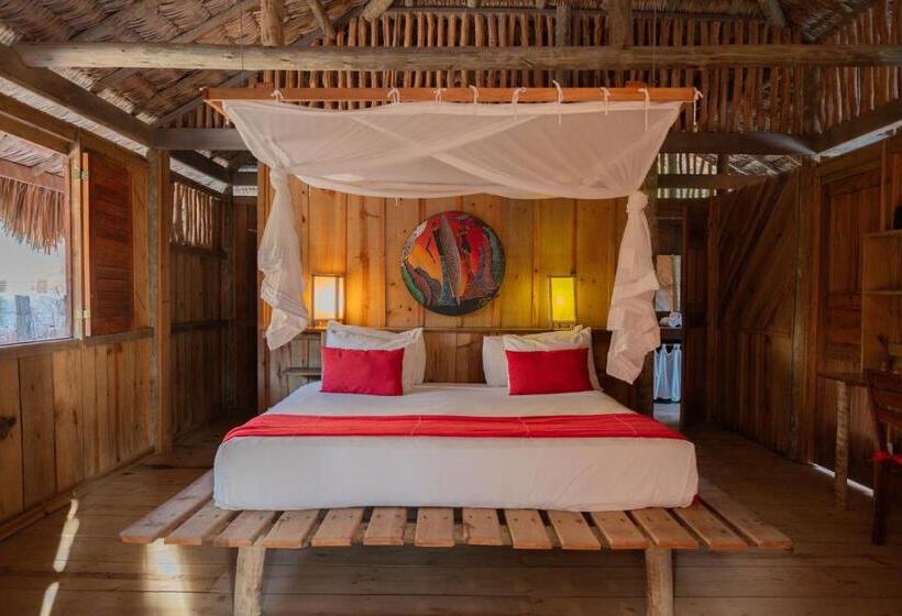 Семейное Бунгало, Ventana