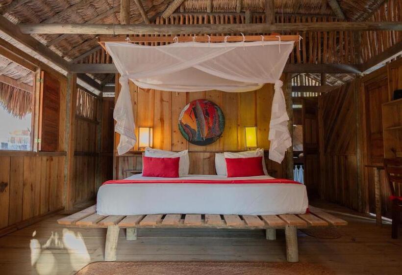 Бунгало Стандарт, Ventana