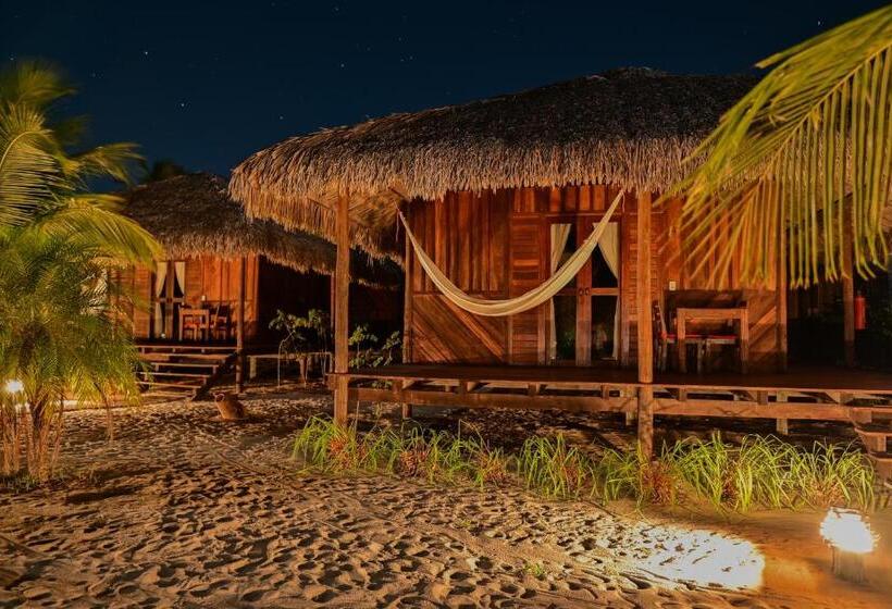 Бунгало Стандарт, Ventana