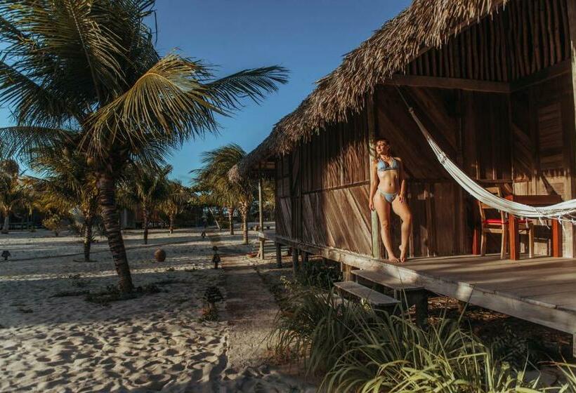 Бунгало Стандарт, Ventana