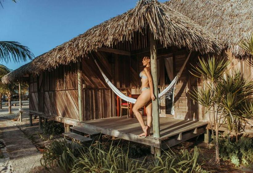 Бунгало Стандарт, Ventana