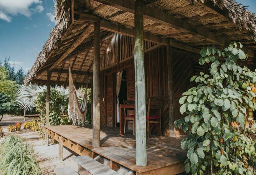 Бунгало Стандарт, Ventana