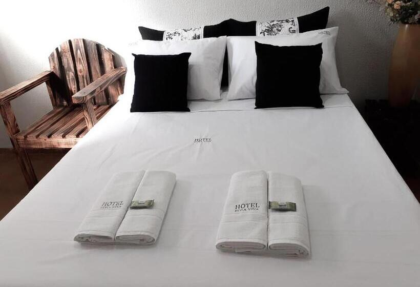 Номер Стандарт, Rosa Viva