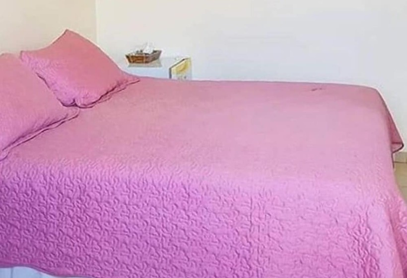 标准间, Videiras Palace