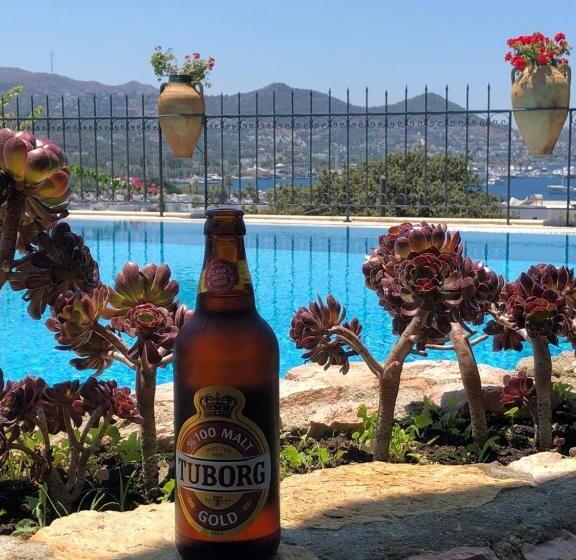 חדר סטנדרט נוף לים, Villa Cosy