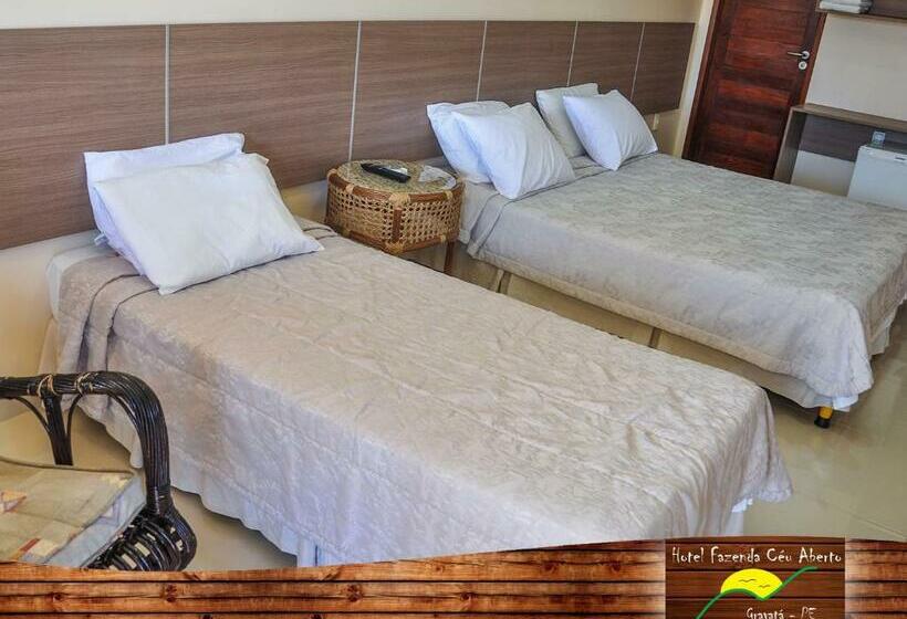 豪华三人间, Fazenda Ceu Aberto