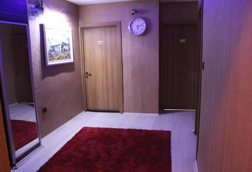 اتاق استاندارد یک نفره, Kars Konak