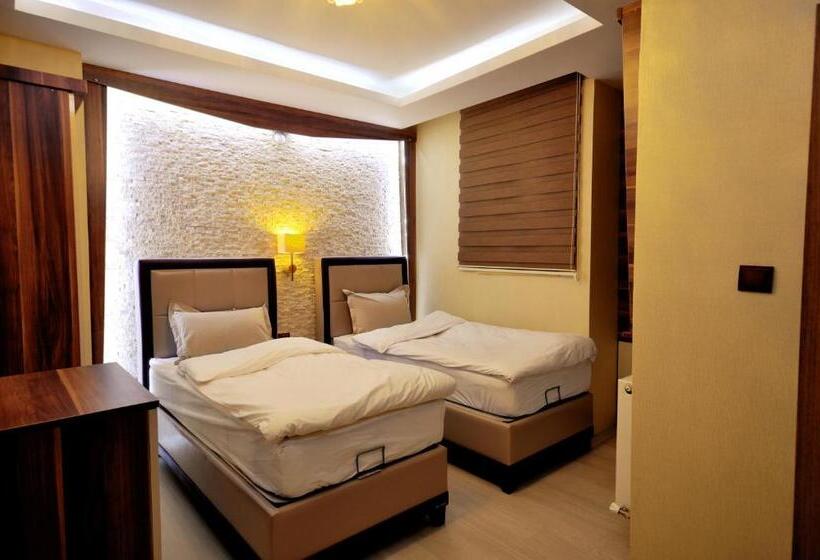 اتاق استاندارد با چشمانداز کوهستان, Kars Konak