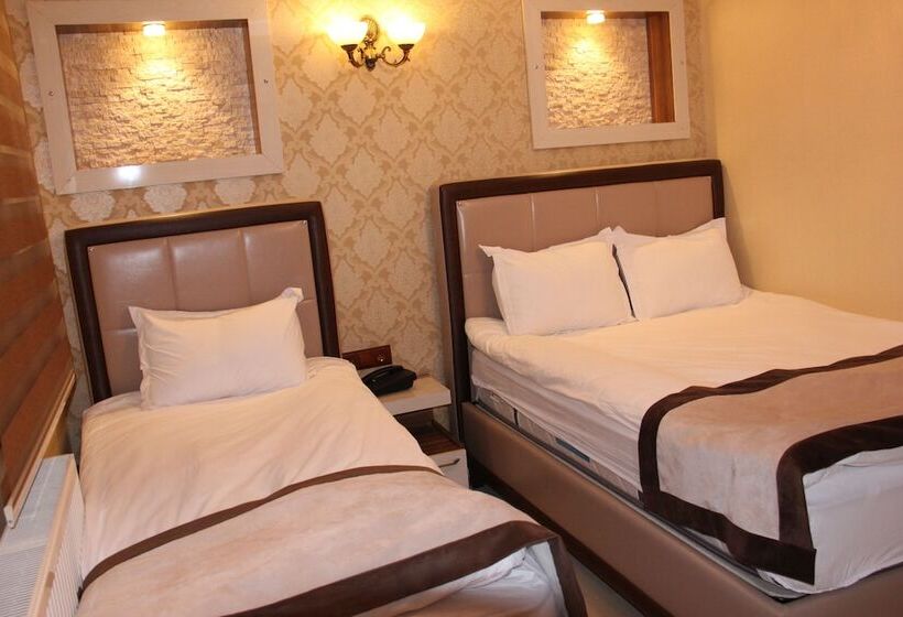 اتاق استاندارد سه نفره, Kars Konak