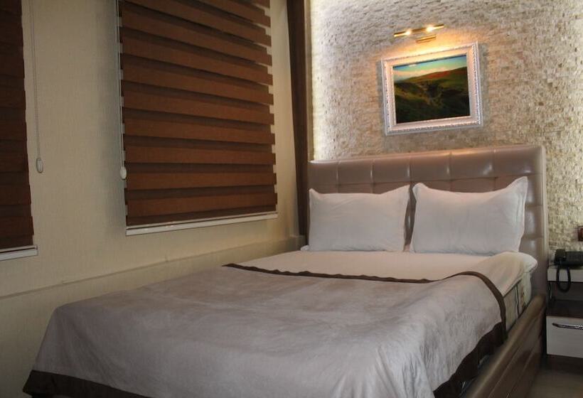 اتاق استاندارد یک نفره, Kars Konak