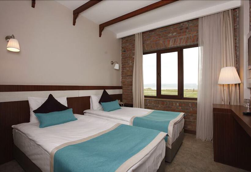 اتاق لوکس با چشمانداز دریا, Milestone1915