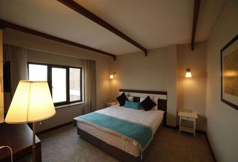 اتاق لوکس با چشمانداز دریا, Milestone1915