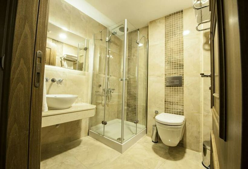 اتاق استاندارد, Ney