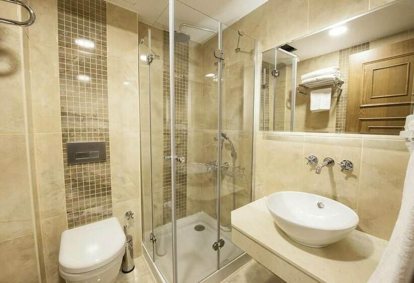 اتاق استاندارد, Ney