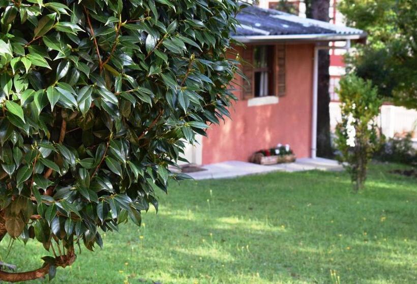 شاليه غرفة نوم واحدة, Pousada Sino Dos Ventos  Hospedagem Afetiva