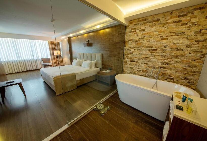 سوییت, Ramada Plaza By Wyndham Samsun