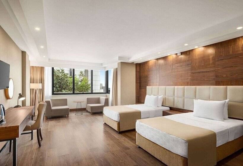 اتاق استاندارد برای معلولان, Ramada Plaza By Wyndham Samsun