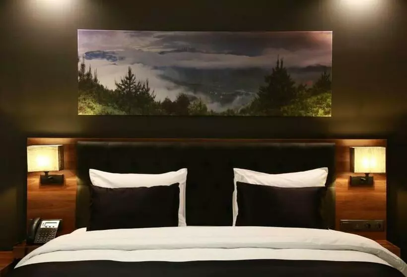 اتاق لوکس, Azra Suite Otel