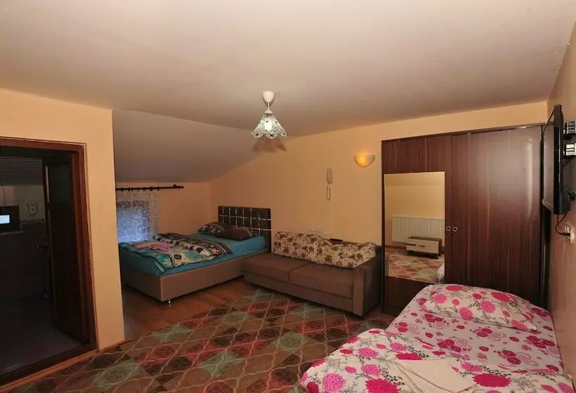 اتاق استاندارد سه نفره, Cam Motel