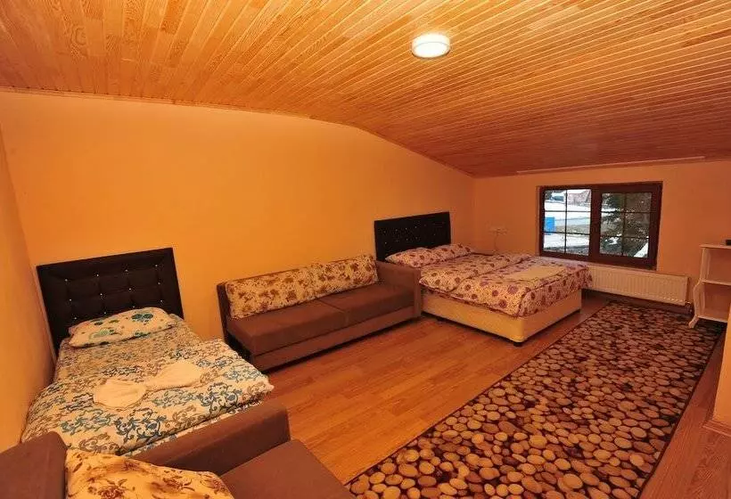 اتاق استاندارد, Cam Motel
