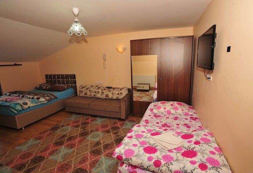 标准三人间, Cam Motel