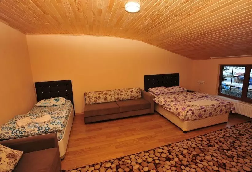 اتاق استاندارد چهار تخته, Cam Motel