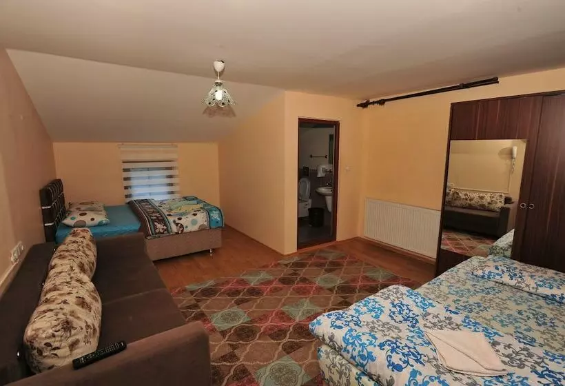 اتاق استاندارد, Cam Motel