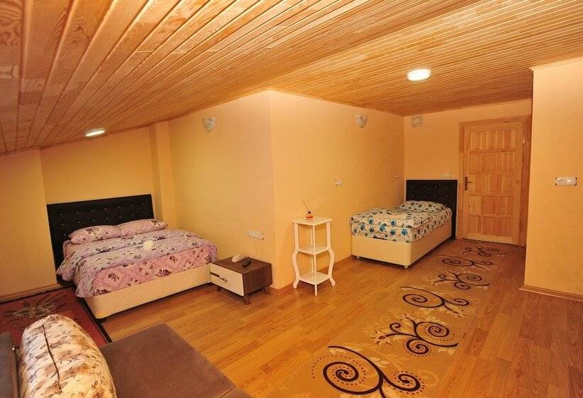 标准三人间, Cam Motel