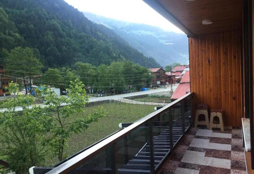 豪华套房, Cam Motel