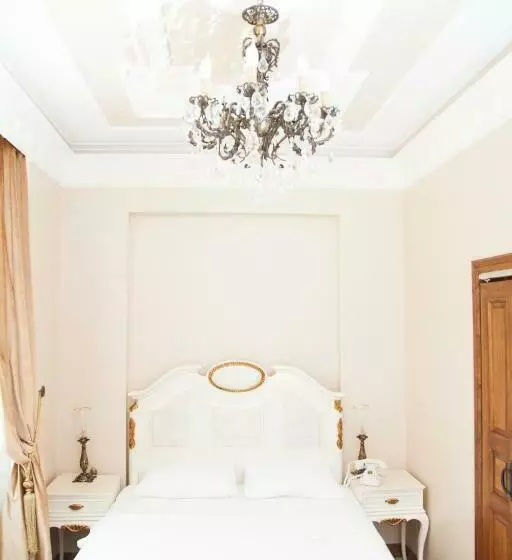 اتاق استاندارد یک نفره, Cankaya Konaklari Boutique Hotel  Special Class