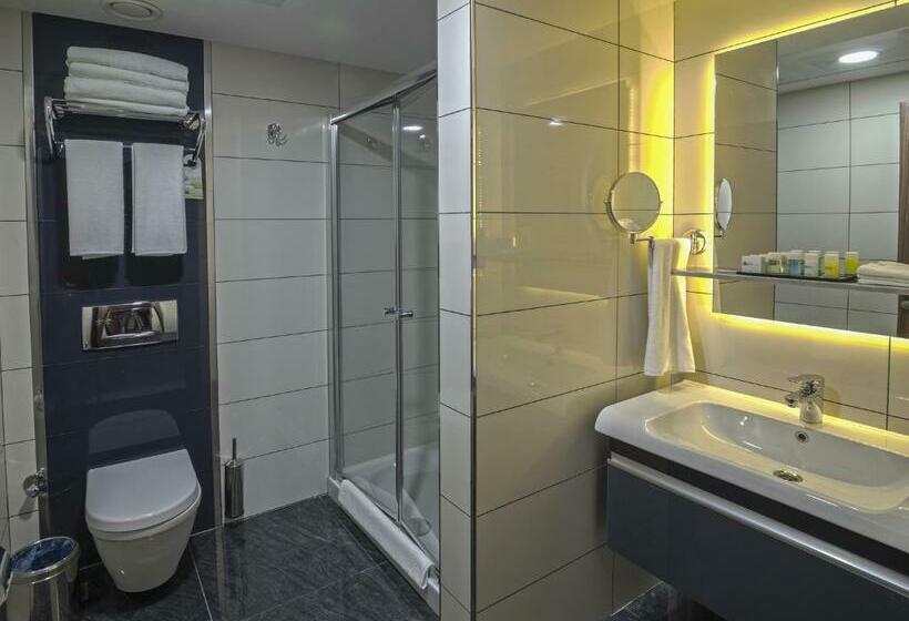 חדר סטנדרט, Fesa Business