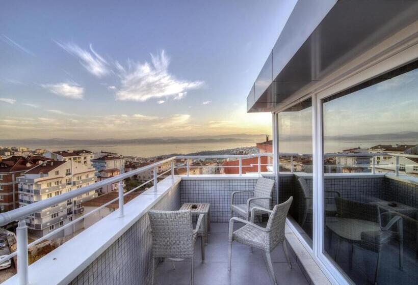 סוויטה, Fesa Business