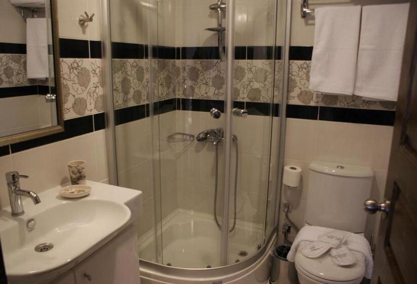 חדר דלוקס, Griffon