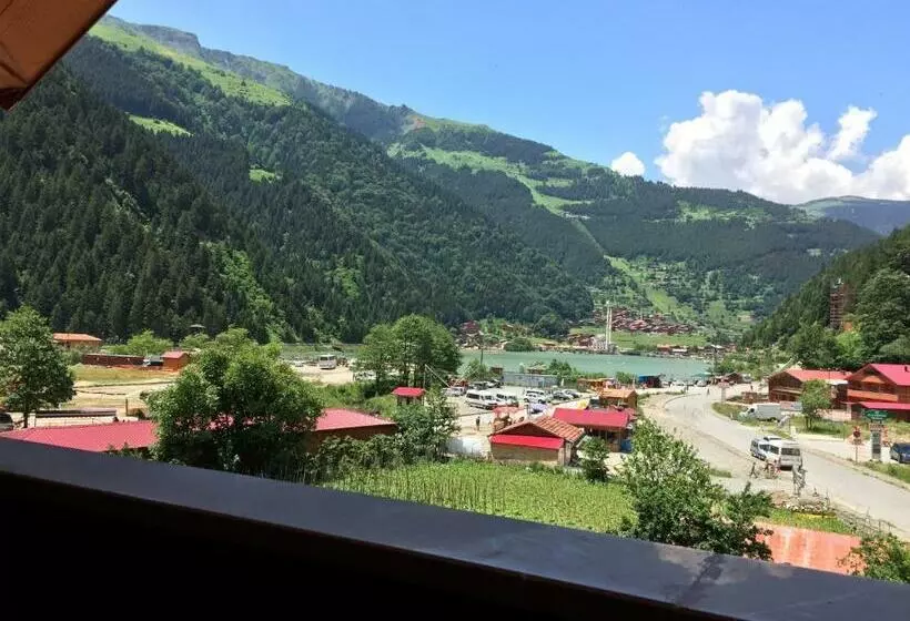 سوییت خانوادگی, Sezgin