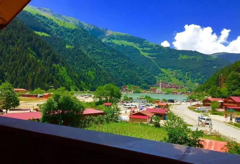 اتاق خانوادگی تودرتو, Sezgin
