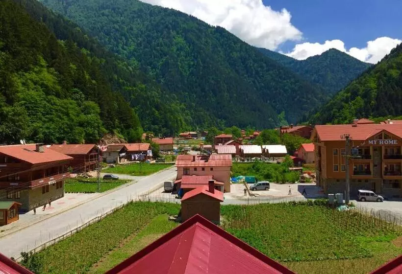 اتاق خانوادگی با چشم‌انداز کوه, Sezgin