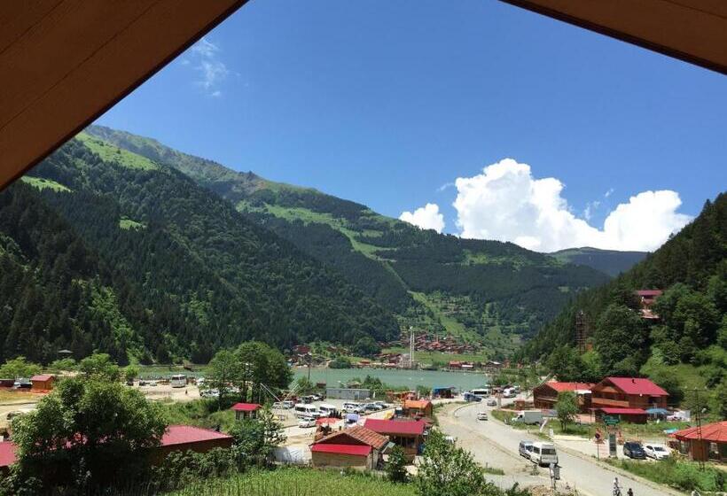 패밀리 연결 룸, Sezgin