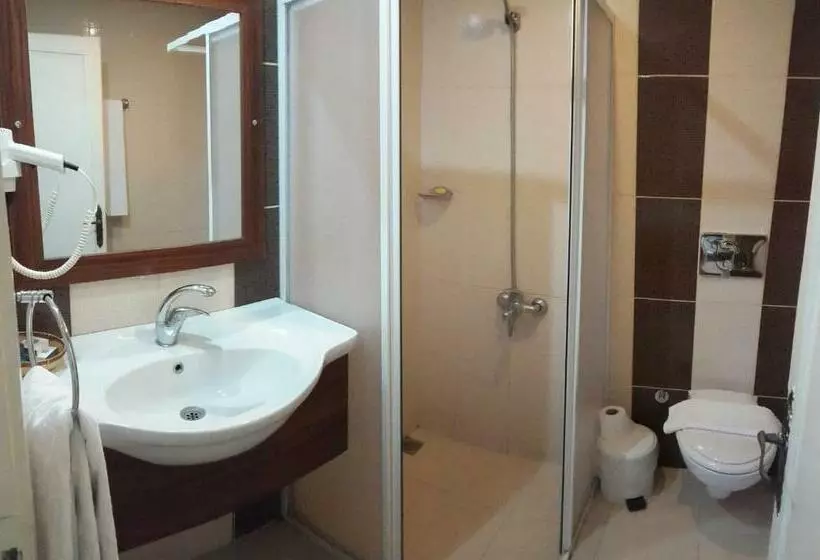 Standard Kolmen Hengen Huone, Yıldız