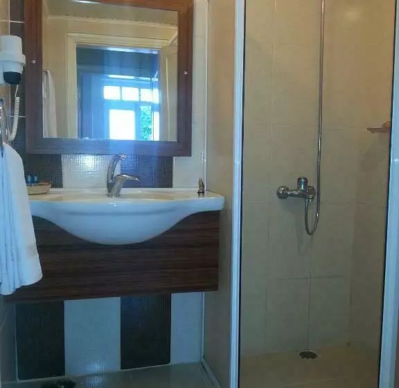 Standard Kolmen Hengen Huone, Yıldız