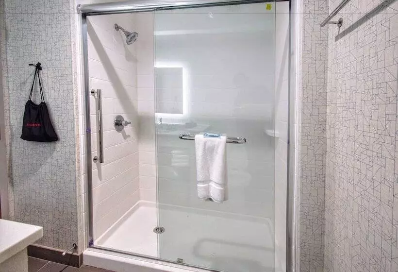身障者適用スイートルーム, Holiday Inn Express & Suites Moore, An Ihg